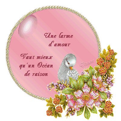 une larme d' amour tant mieux qu' un océan de maison
